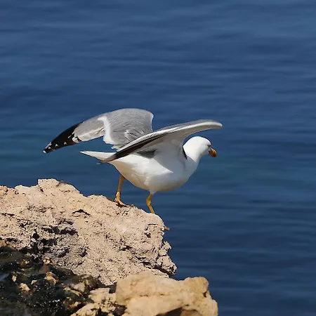 Bohemebleue Hotel Siğacık