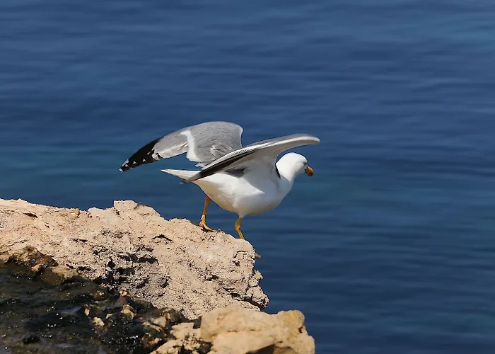 Bohemebleue Otel Siğacık